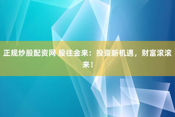 正规炒股配资网 股往金来：投资新机遇，财富滚滚来！