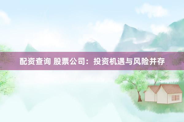 配资查询 股票公司：投资机遇与风险并存