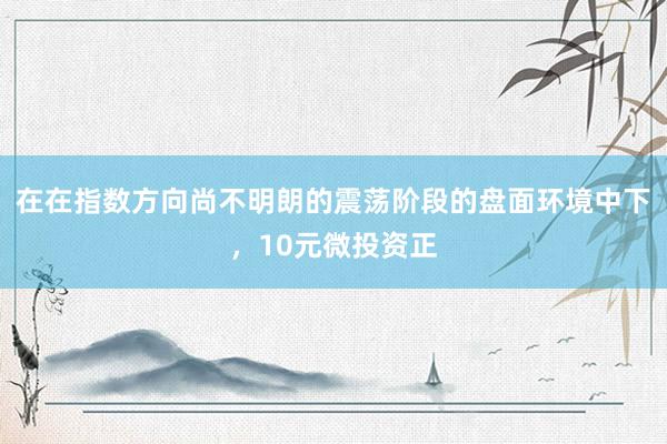 在在指数方向尚不明朗的震荡阶段的盘面环境中下，10元微投资正