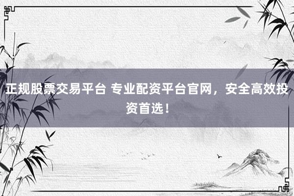 正规股票交易平台 专业配资平台官网，安全高效投资首选！
