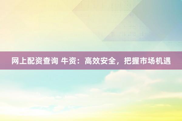 网上配资查询 牛资：高效安全，把握市场机遇